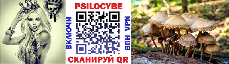 Галлюциногенные грибы Magic Shrooms  как найти наркотики  Старый Крым 